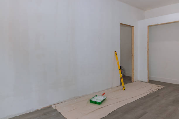 Best Mold Odor Removal Services  in La Marque, TX
